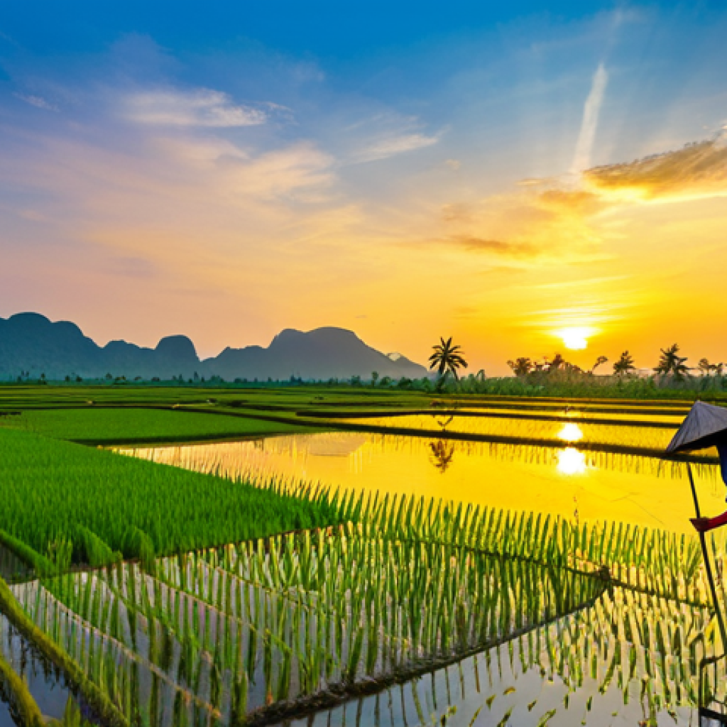 디지털아트에서 조명의 중요성 - Peaceful Sunset Landscape**

"A serene rice paddy field at sunset in the Mekong Delta, Vietnam. Gold...